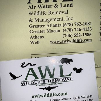 Awl Wildlife Specialist - Contact information. - Animal Shelters Near Me Awl Wildlife Specialist - Contact information. - Animal Shelters Near Me