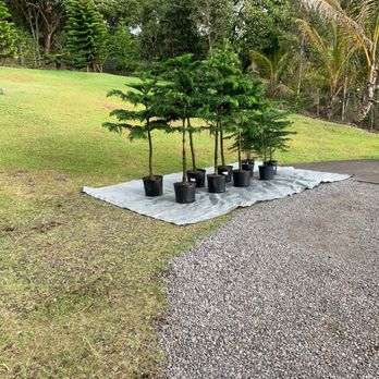 Garden Exchange - Nurseries & Gardening Near Me - Hilo, Hawaii