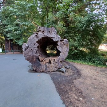 Ancient Redwoods RV Park - RV Parks Near Me - Redcrest, California Ancient Redwoods RV Park - RV Parks Near Me - Redcrest, California