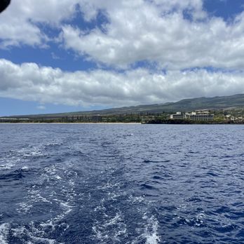 Trilogy Excursions - Snorkeling Near Me - Lahaina, Hawaii Trilogy Excursions - Snorkeling Near Me - Lahaina, Hawaii