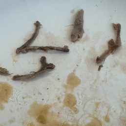 Chicken bones found in our burritos. Chicken bones found in our burritos.