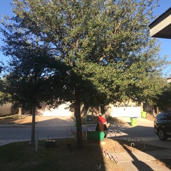 Lone Star Landscape and Tree Services - This is a before and after photo of work completed - Landscaping Near Me - San Antonio, Texas