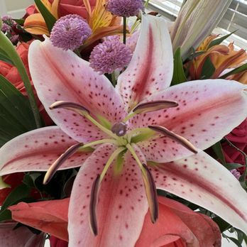 Soderberg's Florist & Flower Delivery - Florists Near Me - Minneapolis, Minnesota