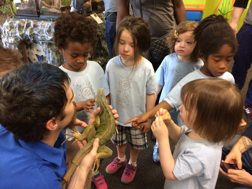 House At Pooh Corner - childcare center in Philadelphia, PA