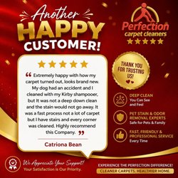 Perfection Carpet Cleaners