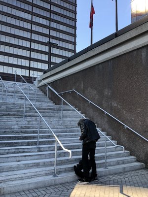 Jackson Square by null