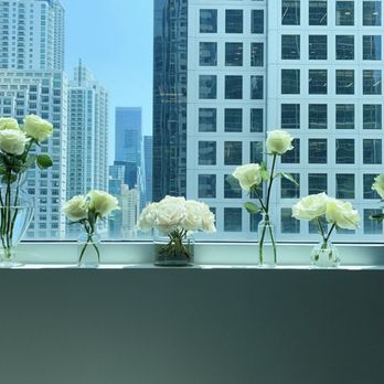 Lauren Hershey - Luxe Properties - Real Estate Agents Near Me - Coral Gables, Florida Lauren Hershey - Luxe Properties - Real Estate Agents Near Me - Coral Gables, Florida