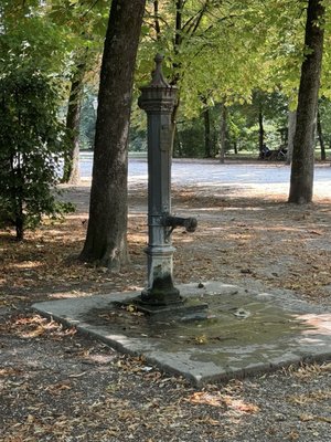 Parco Ducale by null