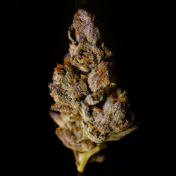 Missouri Made Marijuana - Indica, Sativa, or Hybrid? What's your preference?