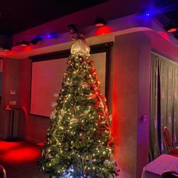 Vitamin X - Christmas gathering in Vitemen X