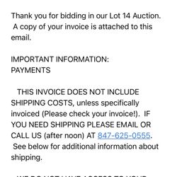 Lot 14 Auctions - An invoice email since I was deemed to not be an actual bidder.