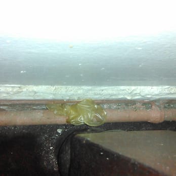 Senton Hotel - Used condom behind bed - Hotels Near Me - New York, New York Senton Hotel - Used condom behind bed - Hotels Near Me - New York, New York