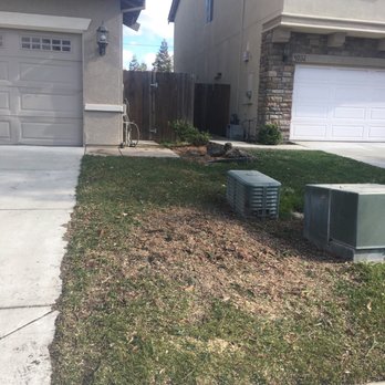Clark's Tree Works - After - Tree Services Near Me - Modesto, California
