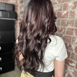 D’luxe Salon Spa Barber - All over Color , haircut, and Extensions by Danielle