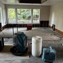 All Dry And Tidy - Water damage Alamo CA