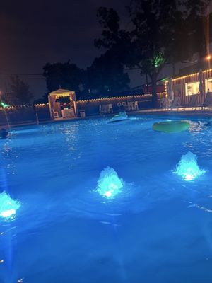 Lee Harvey's Dive In by null