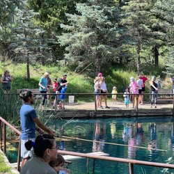Seeping Springs Trout Lakes and RV Park
