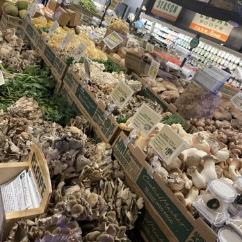 Central Market - Mushroom Heaven - Grocery Near Me - Dallas, Texas Central Market - Mushroom Heaven - Grocery Near Me - Dallas, Texas