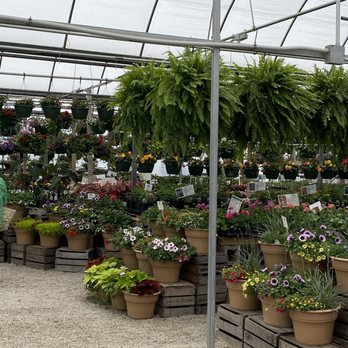 Tuttle Orchards - More plants - Fruits & Veggies Near Me - Greenfield, Indiana