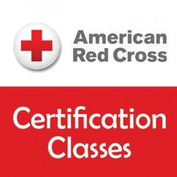 CPR & MORE