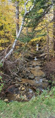 Forillon National Park by null