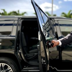 Medol Chauffeur Services