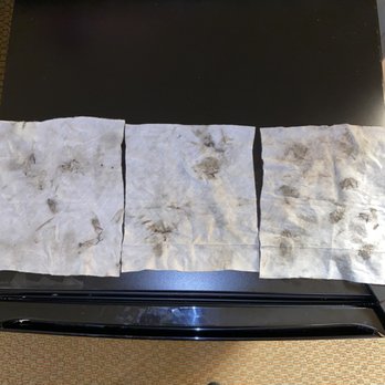 Great Wolf Lodge - Back of the wipes. - Resorts Near Me - Centralia, Washington Great Wolf Lodge - Back of the wipes. - Resorts Near Me - Centralia, Washington