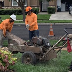 His Tree Service