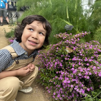 San Fernando Valley Academy - My little one looking for butterflies at Botanical Garden - Elementary Schools Near Me - Northridge, California San Fernando Valley Academy - My little one looking for butterflies at Botanical Garden - Elementary Schools Near Me - Northridge, California