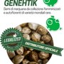Legalized