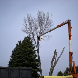 Storwick & Hope Tree and Landscape Professionals