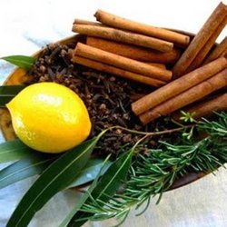 Bodhi Massage Therapy and Wellness