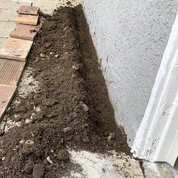 Already A Better Choice - Pest Control Near Me - El Monte, California