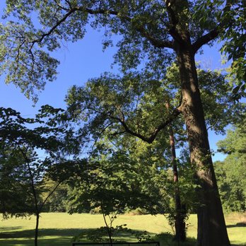 Bellevue State Park - Disc Golf Near Me - Wilmington, Delaware