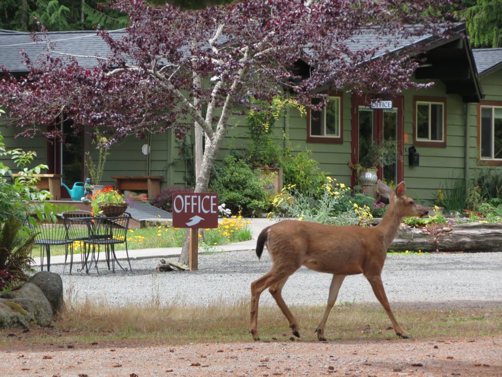 MOUNT WALKER INN Updated July 2024 19 Reviews 61 Maple Grove Rd