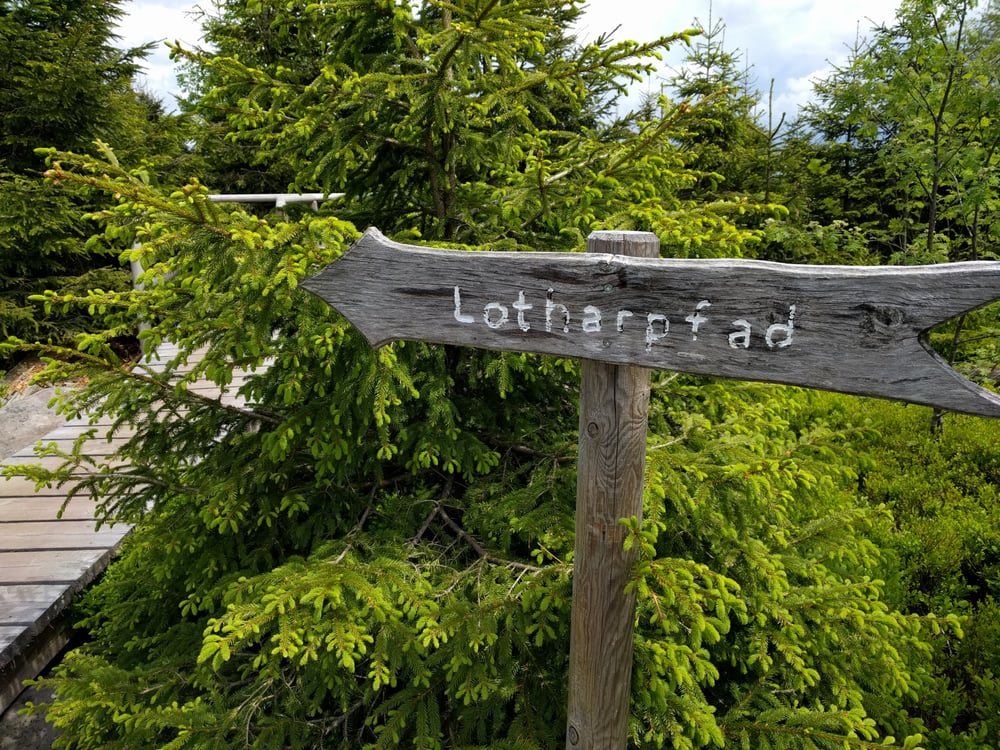 Lotharpfad