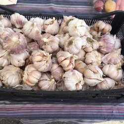 San Joaquin Certified Farmers' Market - Garlic