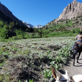McGee Creek Pack Station - Horseback Riding Near Me - Mammoth Lakes, California McGee Creek Pack Station - Horseback Riding Near Me - Mammoth Lakes, California