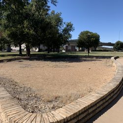 Harold Jones Park - Desolate flower pad.