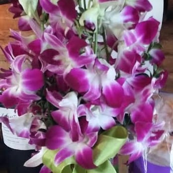 Avante Gardens - MONET'S ORCHIDS regular size - Florists Near Me - Santa Ana, California