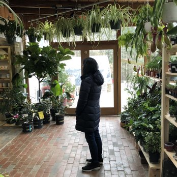 For Garden's Sake - House plants! - Nurseries & Gardening Near Me - Durham, North Carolina