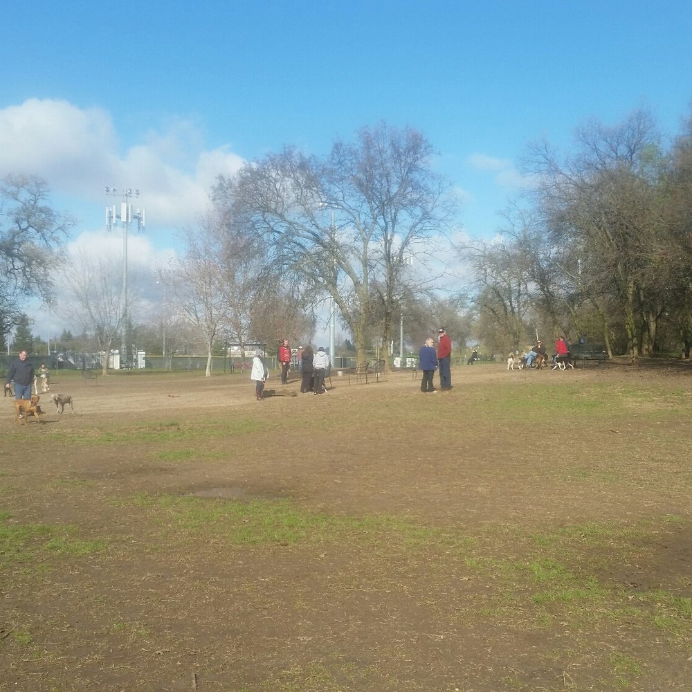 C-bar-C Park Dog Park - Big park - Dog Parks Near Me - Citrus Heights, California C-bar-C Park Dog Park - Big park - Dog Parks Near Me - Citrus Heights, California