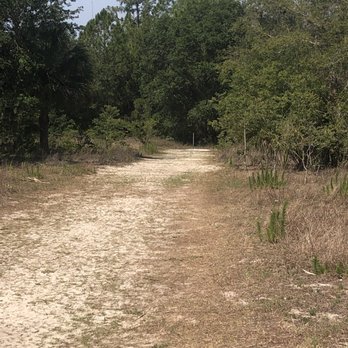 Fish Hawk Preserve North - Parks Near Me - Lithia, Florida
