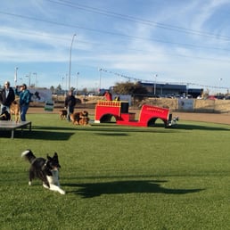 View of grass & fire truck.