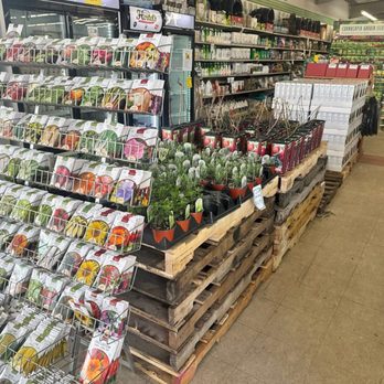 Shar-Kare - Seeds and plants - Pet Stores Near Me - Campbell River, British Columbia Shar-Kare - Seeds and plants - Pet Stores Near Me - Campbell River, British Columbia