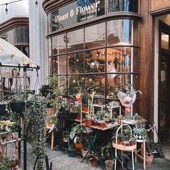 Burlington Arcade - plant & flower shop - Shopping Centers Near Me - Pasadena, California