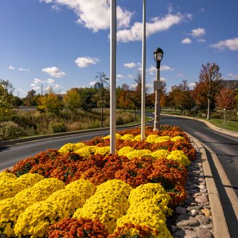 Premier Outdoor Environments, Inc - Landscaping Near Me - Elmhurst, Illinois Premier Outdoor Environments, Inc - Landscaping Near Me - Elmhurst, Illinois