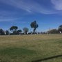 Photo of UCSD Soccer Fields