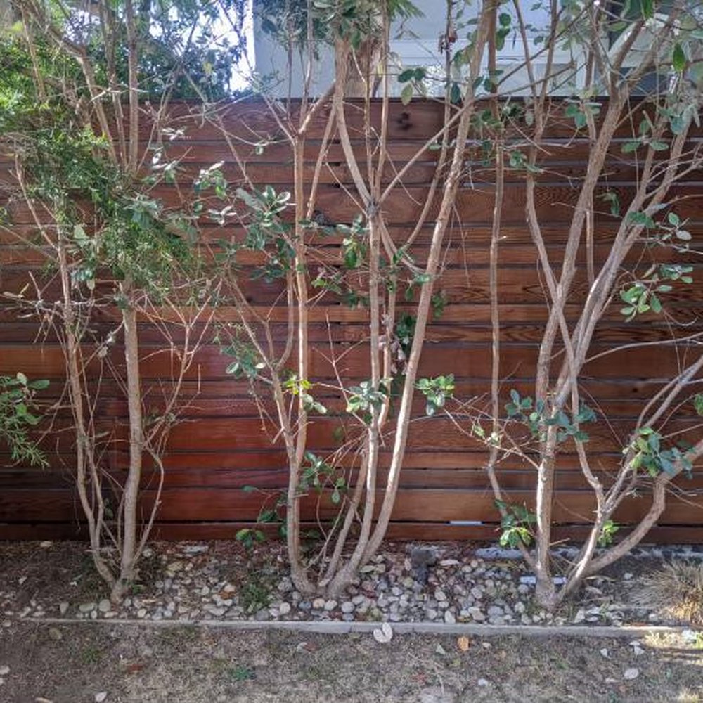 G Power Washing OC - Window Washing Near Me - Costa Mesa, California