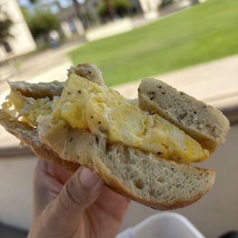 Bay Park Coffee - Egg and cheese on a Rosemary bagel - Coffee & Tea Near Me - San Diego, California Bay Park Coffee - Egg and cheese on a Rosemary bagel - Coffee & Tea Near Me - San Diego, California